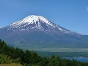 ころりんの画像
