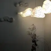 あんずの画像