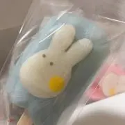 おもちの画像