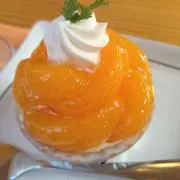 アガパンサスの画像