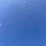 ヒョウ柄大好きの画像