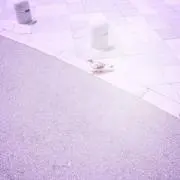 たたの画像
