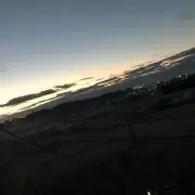 やまだ