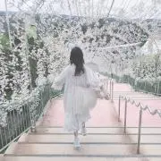らんま。プロフ必読。の画像