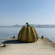 MachDの画像