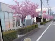 ☆キキララLOVE☆の画像