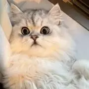 まるの画像