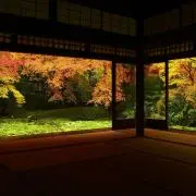一期一会の画像