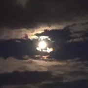 Maouの画像