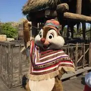 ひろの画像