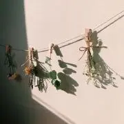 スマイルの画像