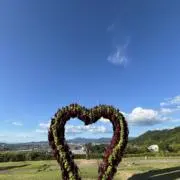 シャトルバスꕤ︎︎の画像