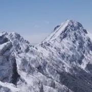 (V)◉¥◉(V)の画像