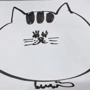 chookkの画像