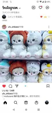ささしの画像