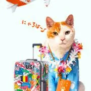 ベリーハイビスカス