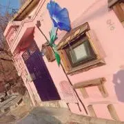 sachiの画像