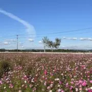 ⭐︎の画像