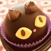 ねこの画像