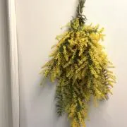 値下げ可能の画像