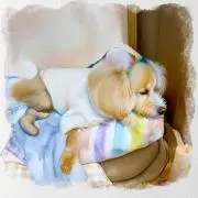 Majun