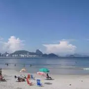 ぐりの画像