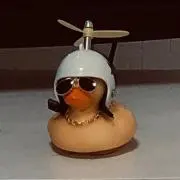 ゴン太の画像