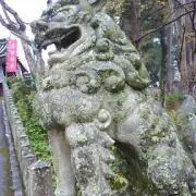 トロとろサーモン
