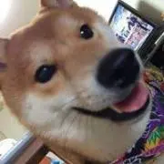 硯川薫の画像