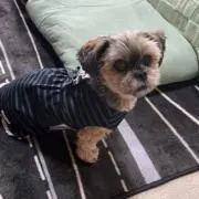ちゃちはる