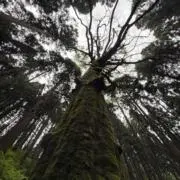 1168の画像