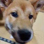 ひろの画像