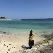 わめわめさんの画像