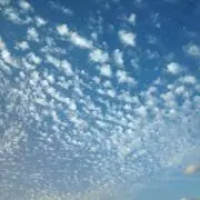 NOBEの画像