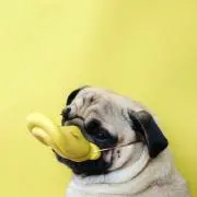 ひろみん