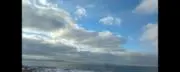 ももねこの画像