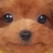 ^^購入する際はコメントお願いしますの画像