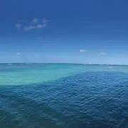 いちいちの画像