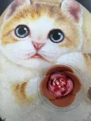 SK33の画像