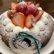 ききの画像