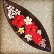 noringの画像