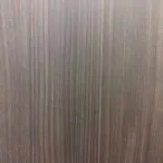 ＳＨＩＮの画像