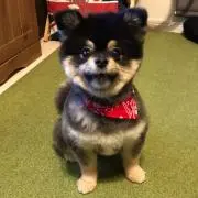 RSUOJR