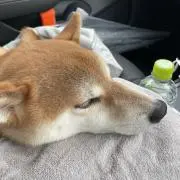 川瀬悠一の画像