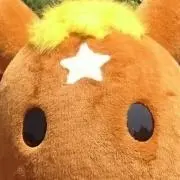 50'sの画像
