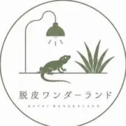 脱皮ワンダーランドの画像