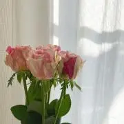 みつあみ