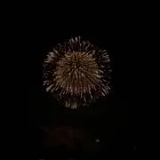 yyy