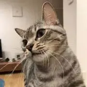 yuki&mocaの画像