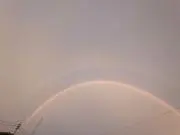 Taylorの画像